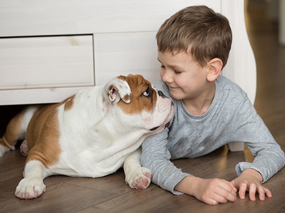 Chăm sóc vệ sinh cho vật nuôi